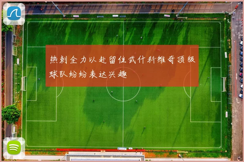 热刺全力以赴留住武什科维奇顶级球队纷纷表达兴趣